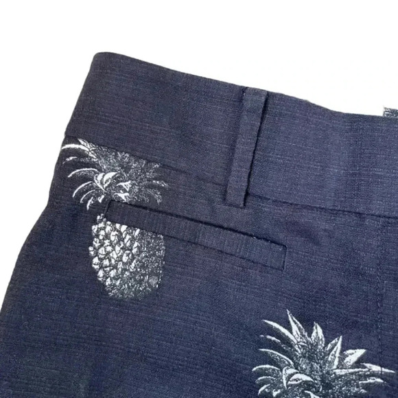 Ann Taylor Devin Cropped Leg Pants Pineapple Print Size 8P Petite Blue Straight - Picture 5 of 10